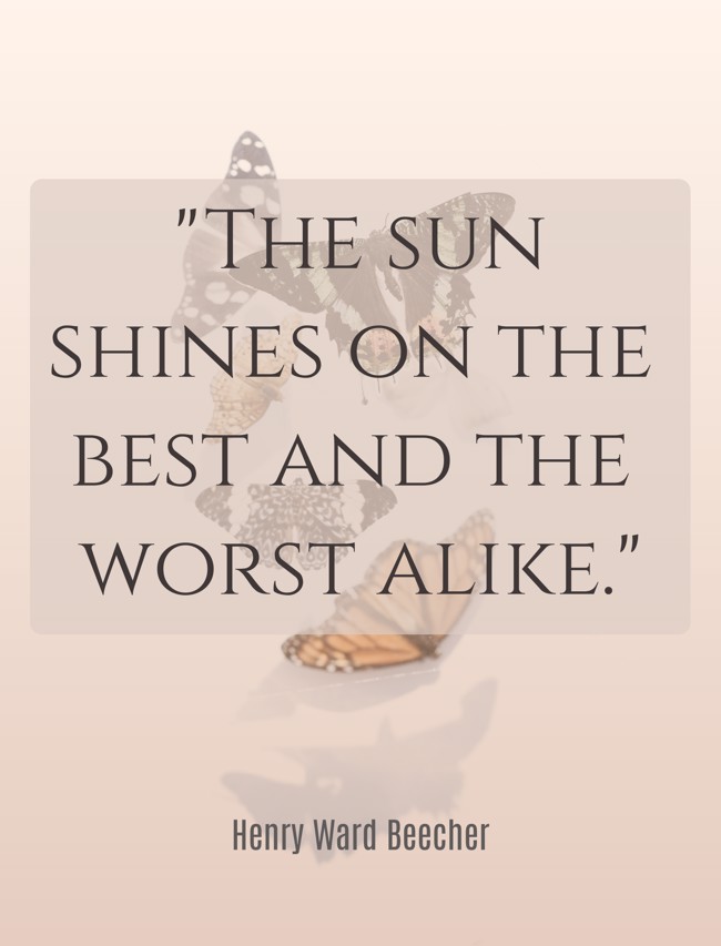  The sun shines on the best and the worst alike.   - Henry Ward Beecher 