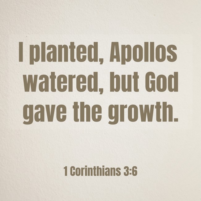 I planted, Apollos watered, but God gave the growth.
- 1 Corinthians 3:6
