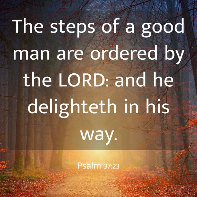 The steps of a good man are ordered by the LORD: and he delighteth in his way. - Psalm 37:23