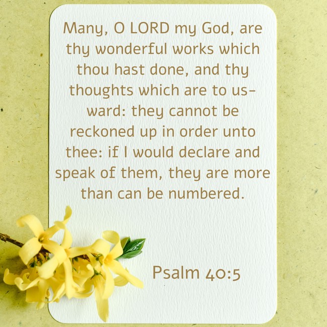 Many, O LORD my God, are thy wonderful works which thou hast done, and thy thoughts which are to us-ward: they cannot be reckoned up in order unto thee: if I would declare and speak of them, they are more than can be numbered. - Psalm 40:5