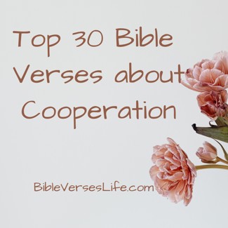 Top 30 Bible Verses about Cooperation