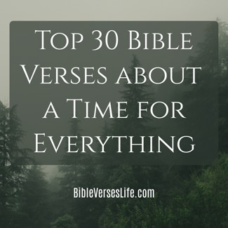 Top 30 Bible Verses about a Time for Everything