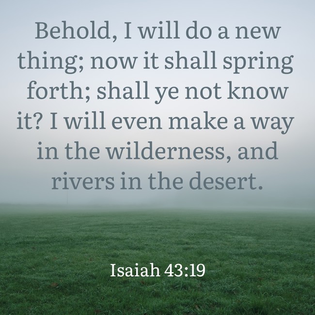 Behold, I will do a new thing; now it shall spring forth; shall ye not know it? I will even make a way in the wilderness, and rivers in the desert. - Isaiah 43:19