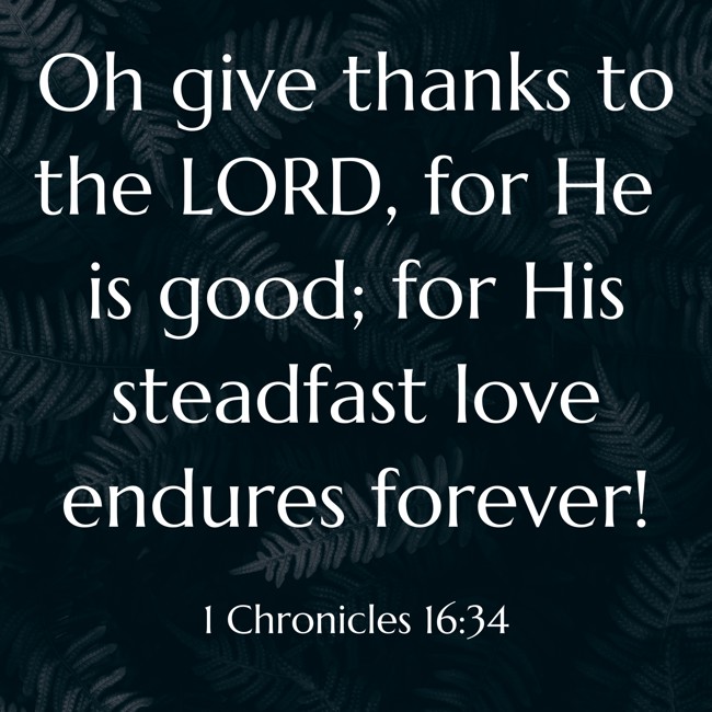 Oh give thanks to the LORD, for He is good; for His steadfast love endures forever! - 1 Chronicles 16:34
