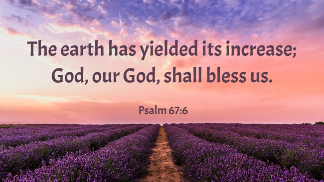 The earth has yielded its increase; God, our God, shall bless us. - Psalm 67:6