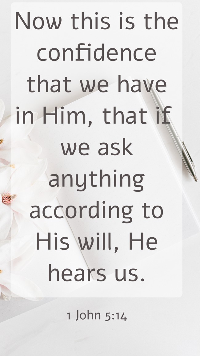 Now this is the confidence that we have in Him, that if we ask anything according to His will, He hears us. - 1 John 5:14
