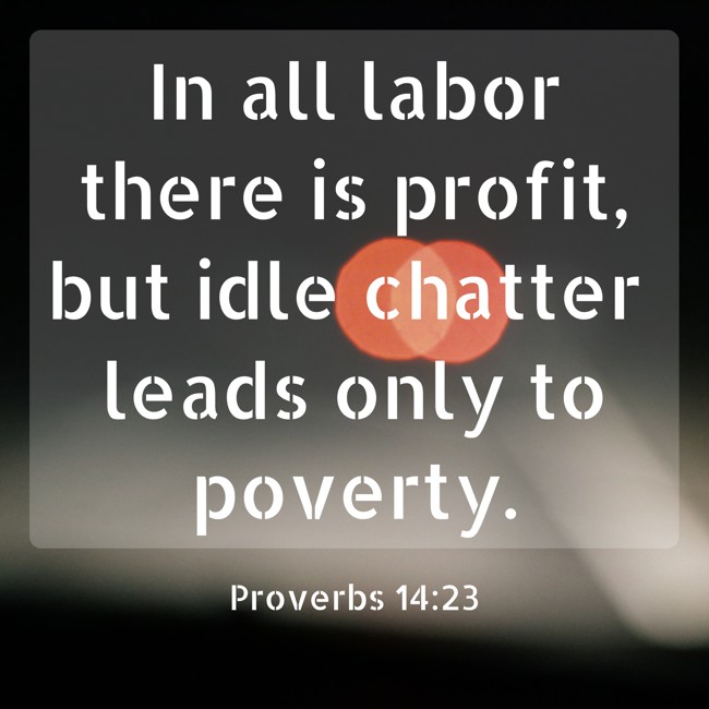  In all labor there is profit, but idle chatter leads only to poverty.   - Proverbs 14:23 