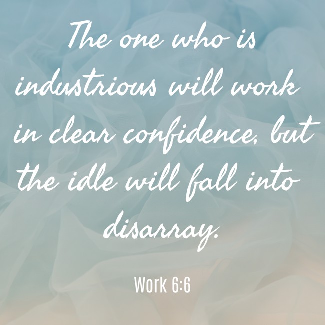  The one who is industrious will work in clear confidence, but the idle will fall into disarray.   - Work 6:6 