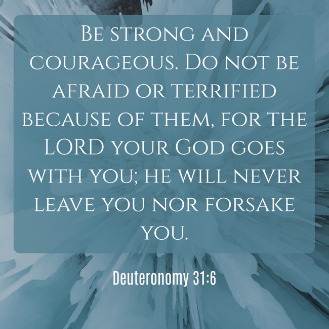 Be strong and courageous. Do not be afraid or terrified because of them, for the LORD your God goes with you; he will never leave you nor forsake you. - Deuteronomy 31:6