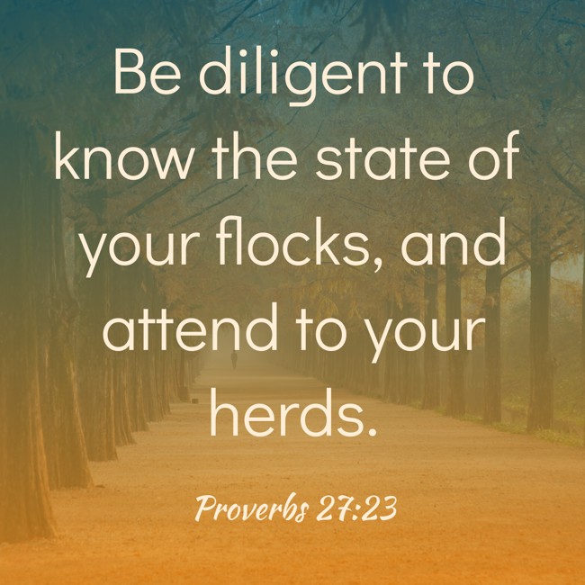  Be diligent to know the state of your flocks, and attend to your herds.   -  Proverbs 27:23 