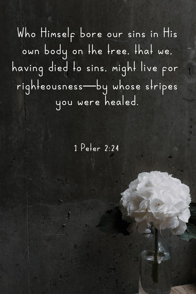 Who Himself bore our sins in His own body on the tree, that we, having died to sins, might live for righteousness—by whose stripes you were healed. - 1 Peter 2:24