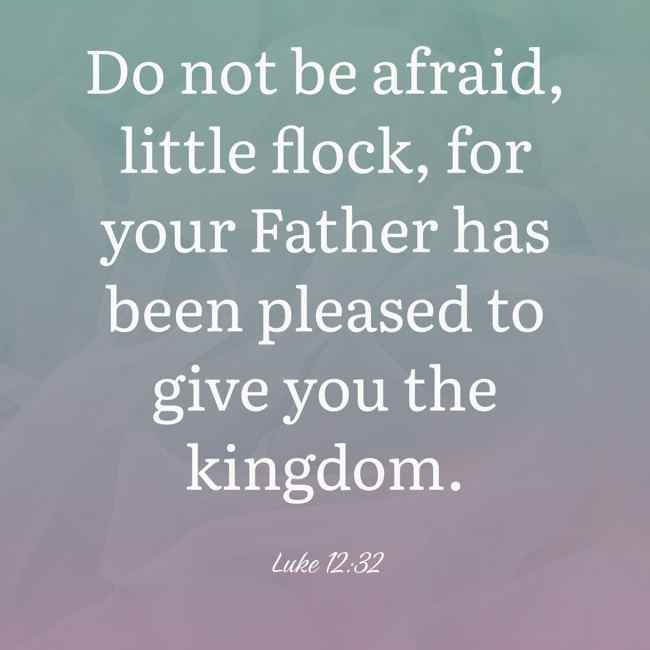 Do not be afraid, little flock, for your Father has been pleased to give you the kingdom. - Luke 12:32