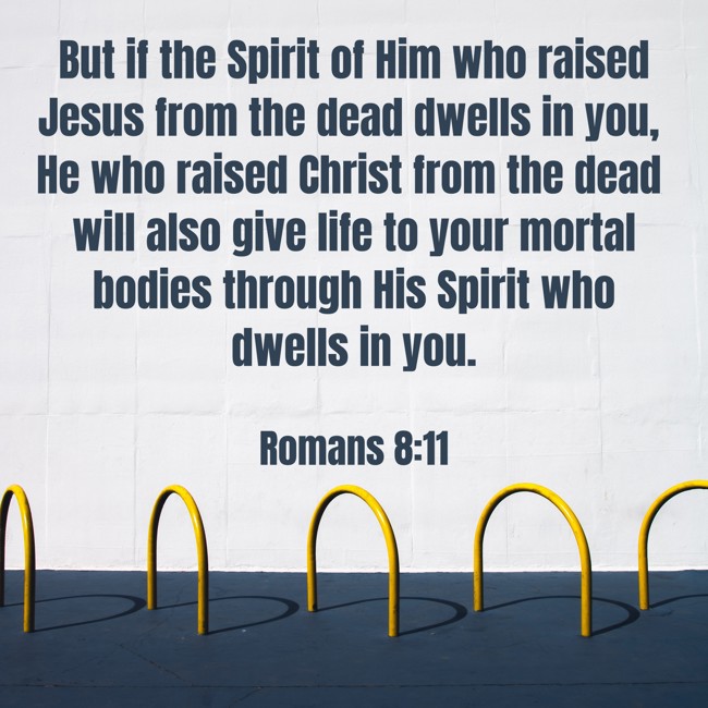 But if the Spirit of Him who raised Jesus from the dead dwells in you, He who raised Christ from the dead will also give life to your mortal bodies through His Spirit who dwells in you. - Romans 8:11