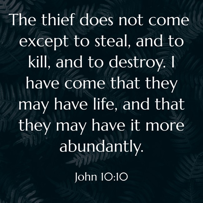 The thief does not come except to steal, and to kill, and to destroy. I have come that they may have life, and that they may have it more abundantly. - John 10:10