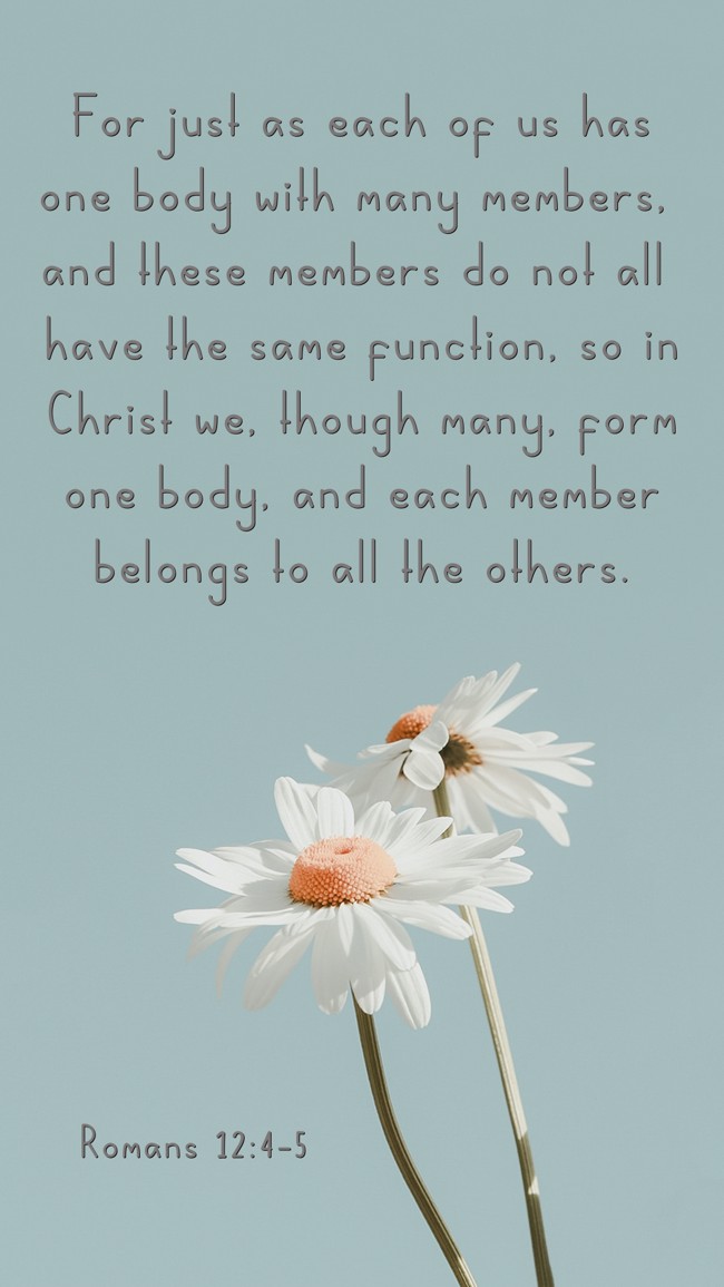 For just as each of us has one body with many members, and these members do not all have the same function, so in Christ we, though many, form one body, and each member belongs to all the others. - Romans 12:4-5