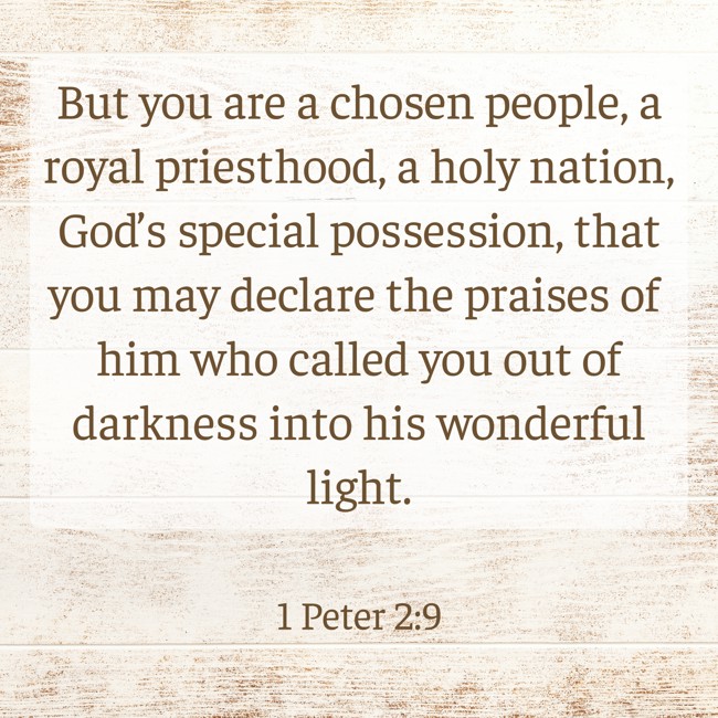 But you are a chosen people, a royal priesthood, a holy nation, God’s special possession, that you may declare the praises of him who called you out of darkness into his wonderful light. - 1 Peter 2:9