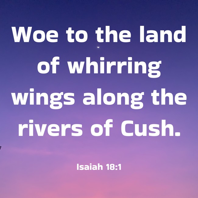 Woe to the land of whirring wings along the rivers of Cush. - Isaiah 18:1