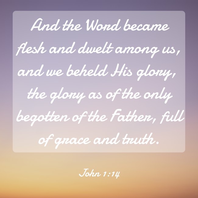 And the Word became flesh and dwelt among us, and we beheld His glory, the glory as of the only begotten of the Father, full of grace and truth. - John 1:14