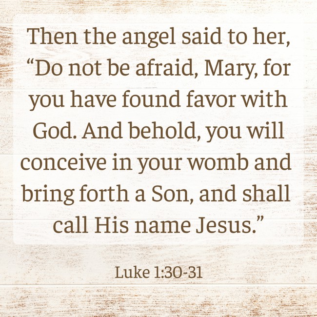 Then the angel said to her, “Do not be afraid, Mary, for you have found favor with God. And behold, you will conceive in your womb and bring forth a Son, and shall call His name Jesus.” - Luke 1:30-31