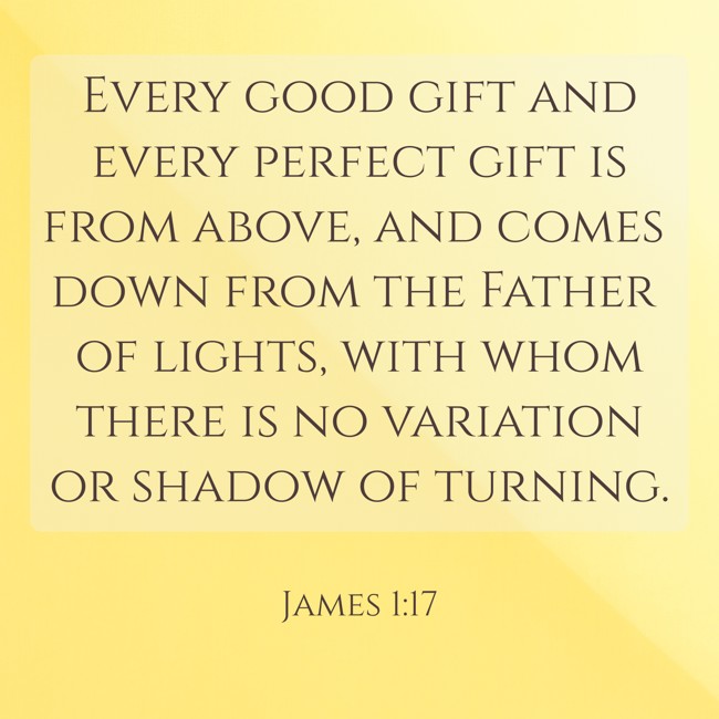 Every good gift and every perfect gift is from above, and comes down from the Father of lights, with whom there is no variation or shadow of turning. - James 1:17