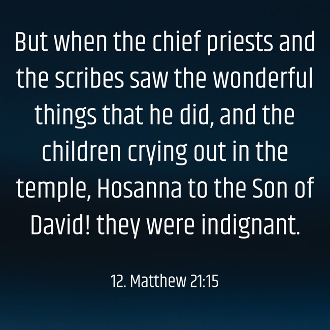 But when the chief priests and the scribes saw the wonderful things that he did, and the children crying out in the temple, Hosanna to the Son of David! they were indignant. - 12. Matthew 21:15