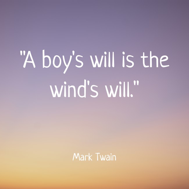 A boy's will is the wind's will. - Mark Twain