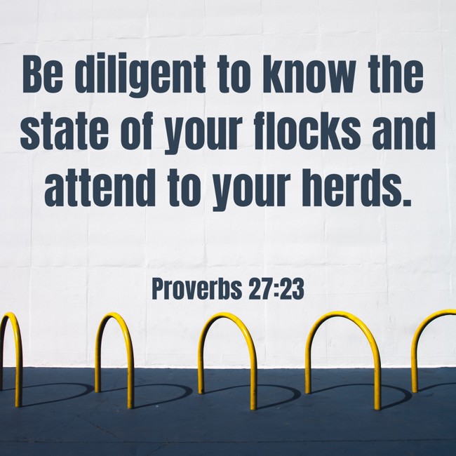 Be diligent to know the state of your flocks and attend to your herds. - Proverbs 27:23
