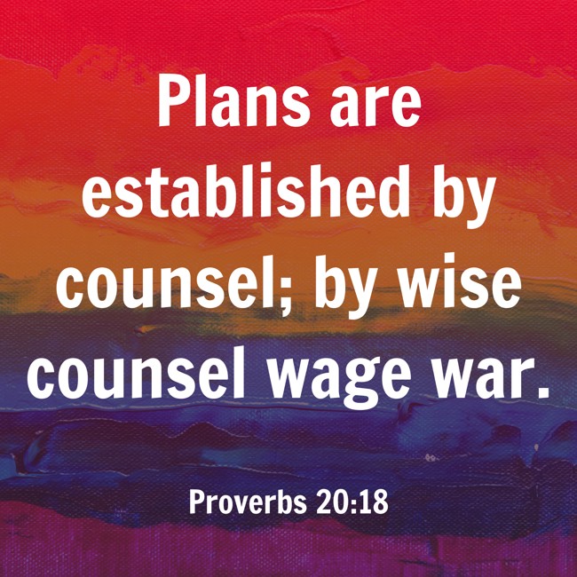 Plans are established by counsel; by wise counsel wage war. - Proverbs 20:18