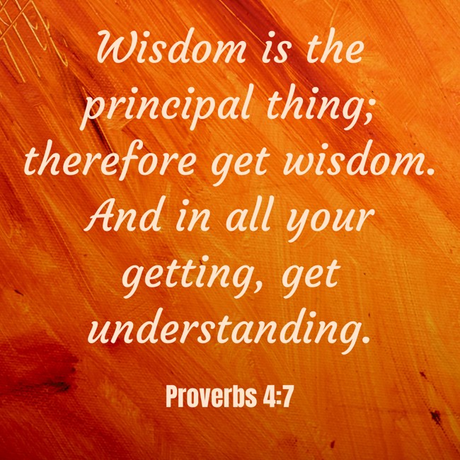 Wisdom is the principal thing; therefore get wisdom. And in all your getting, get understanding. - Proverbs 4:7