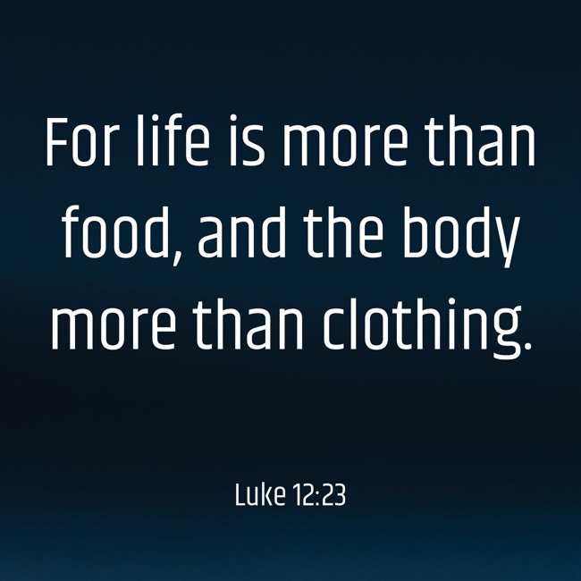 For life is more than food, and the body more than clothing. - Luke 12:23