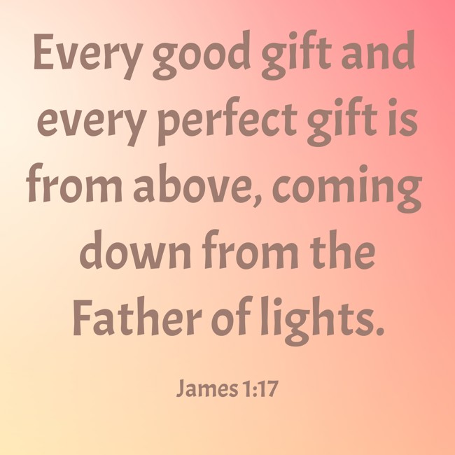 Every good gift and every perfect gift is from above, coming down from the Father of lights. - James 1:17