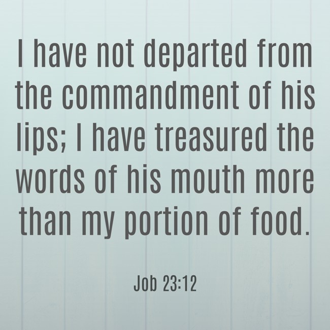 I have not departed from the commandment of his lips; I have treasured the words of his mouth more than my portion of food. - Job 23:12