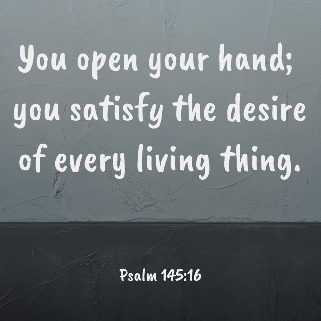 You open your hand; you satisfy the desire of every living thing. - Psalm 145:16