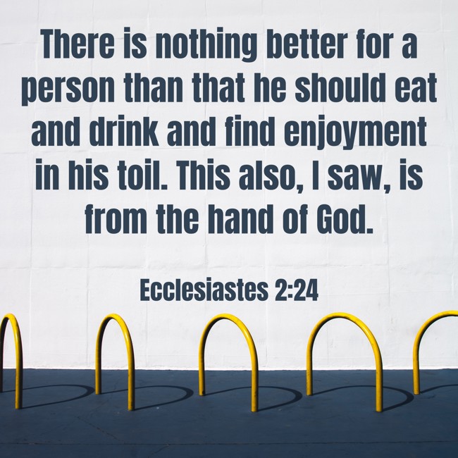 There is nothing better for a person than that he should eat and drink and find enjoyment in his toil. This also, I saw, is from the hand of God. - Ecclesiastes 2:24