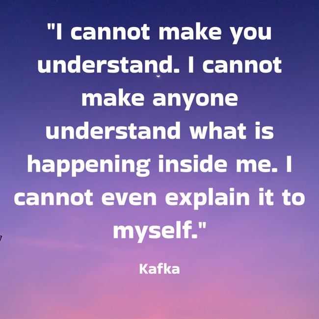 I cannot make you understand. I cannot make anyone understand what is happening inside me. I cannot even explain it to myself. - Kafka