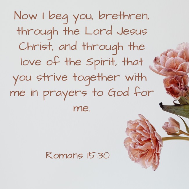 Now I beg you, brethren, through the Lord Jesus Christ, and through the love of the Spirit, that you strive together with me in prayers to God for me. - Romans 15:30