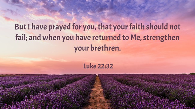 But I have prayed for you, that your faith should not fail; and when you have returned to Me, strengthen your brethren. - Luke 22:32