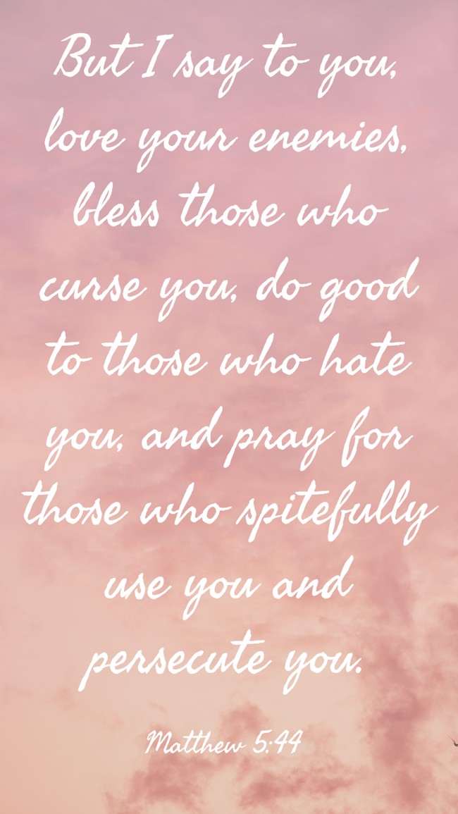 But I say to you, love your enemies, bless those who curse you, do good to those who hate you, and pray for those who spitefully use you and persecute you. - Matthew 5:44