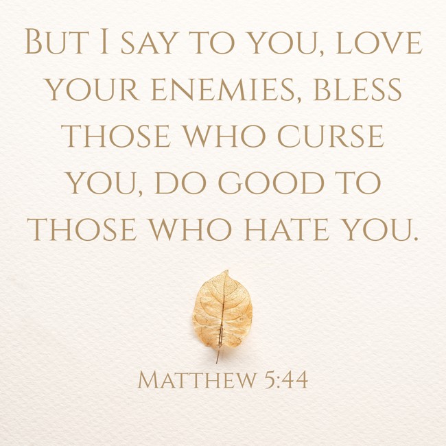 But I say to you, love your enemies, bless those who curse you, do good to those who hate you. - Matthew 5:44