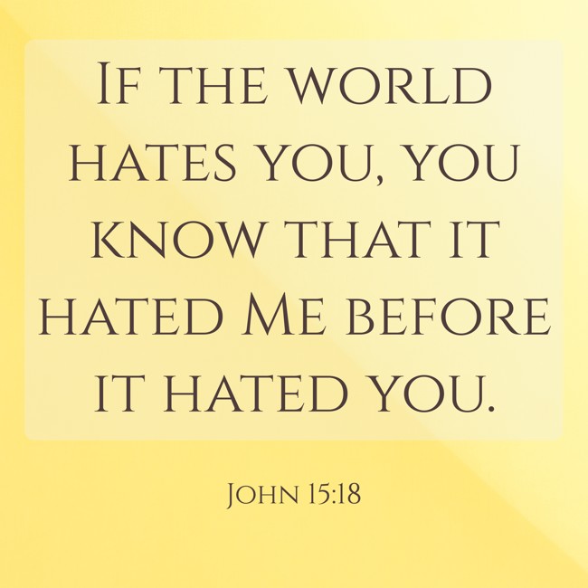 If the world hates you, you know that it hated Me before it hated you. - John 15:18