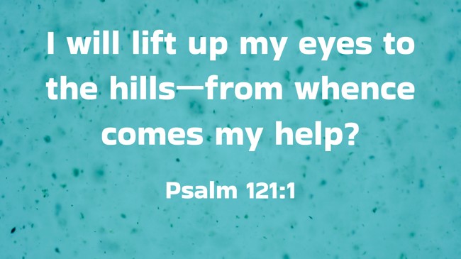  I will lift up my eyes to the hills—from whence comes my help?   - Psalm 121:1 