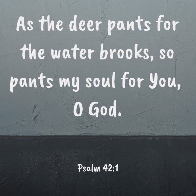  As the deer pants for the water brooks, so pants my soul for You, O God.   - Psalm 42:1 