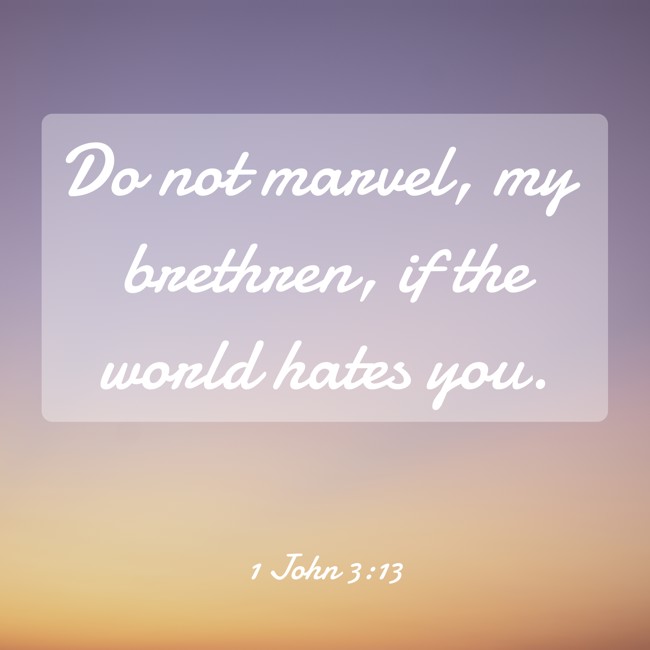 Do not marvel, my brethren, if the world hates you. - 1 John 3:13