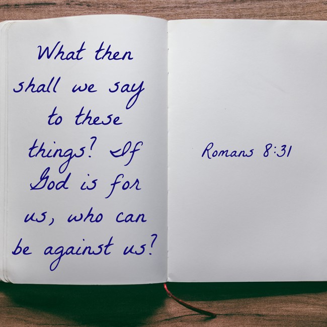 What then shall we say to these things? If God is for us, who can be against us? - Romans 8:31