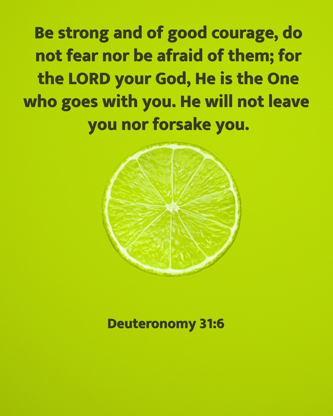Be strong and of good courage, do not fear nor be afraid of them; for the LORD your God, He is the One who goes with you. He will not leave you nor forsake you. - Deuteronomy 31:6