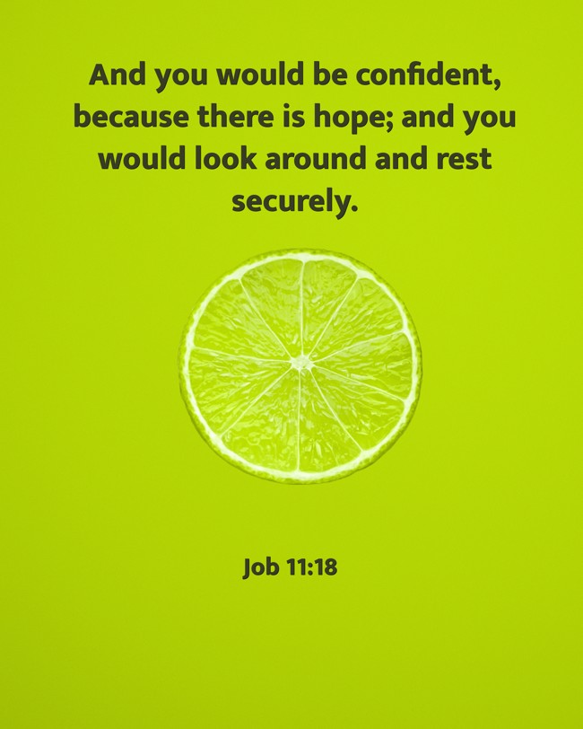 And you would be confident, because there is hope; and you would look around and rest securely. - Job 11:18