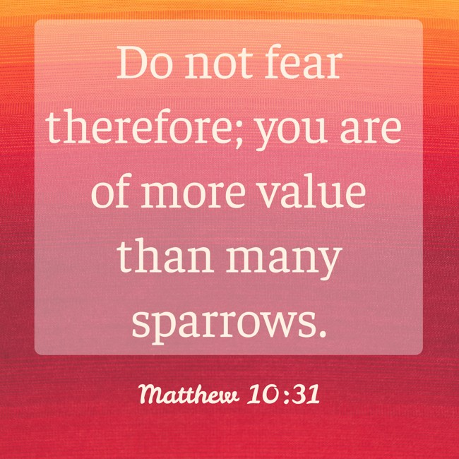 Do not fear therefore; you are of more value than many sparrows. - Matthew 10:31