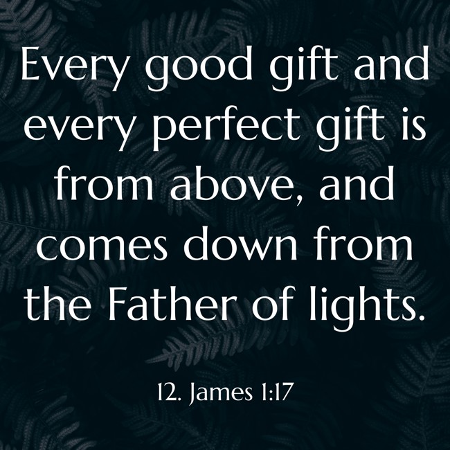 Every good gift and every perfect gift is from above, and comes down from the Father of lights. - 12. James 1:17