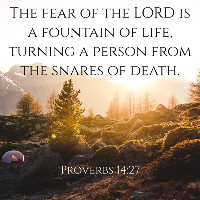 The fear of the LORD is a fountain of life, turning a person from the snares of death. - Proverbs 14:27