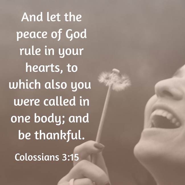 And let the peace of God rule in your hearts, to which also you were called in one body; and be thankful. - Colossians 3:15